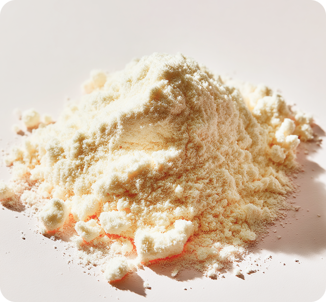 Powder Manufacturing Process